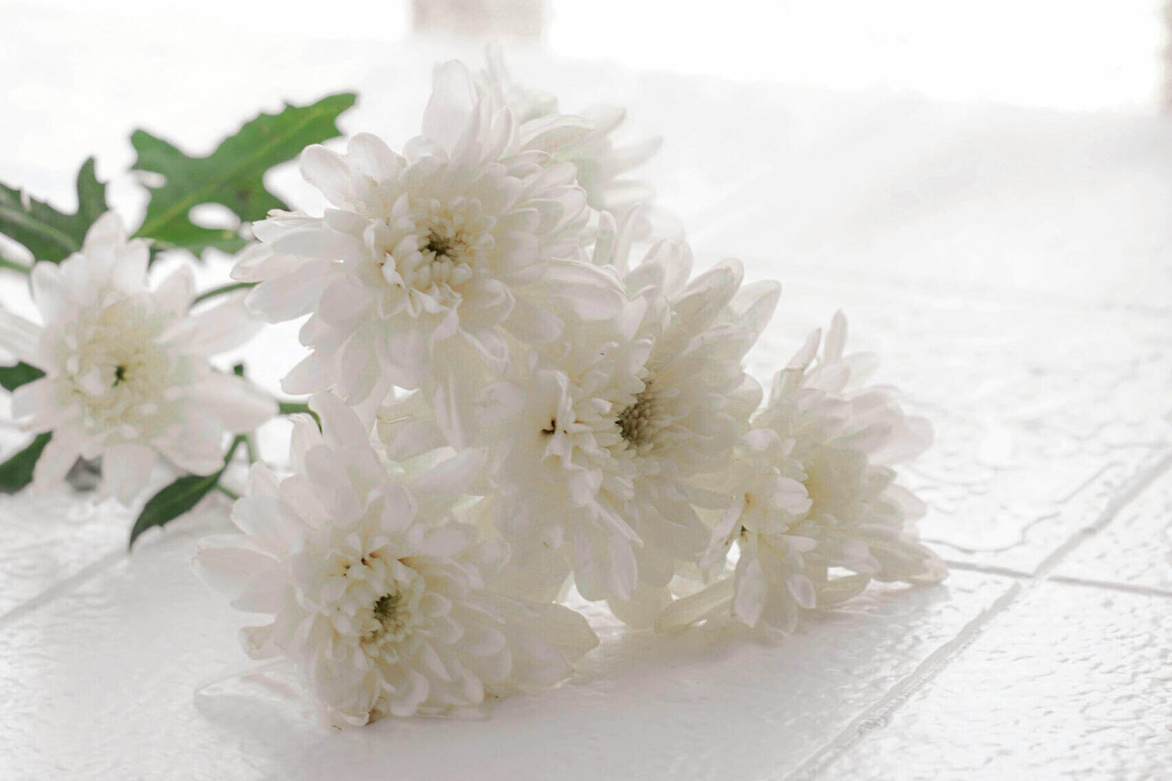 Ema Städtjänst i samarbete med Erik Olsson Fastighetsförmedlning